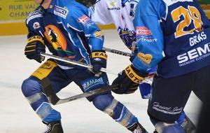 LM : 15ème journée